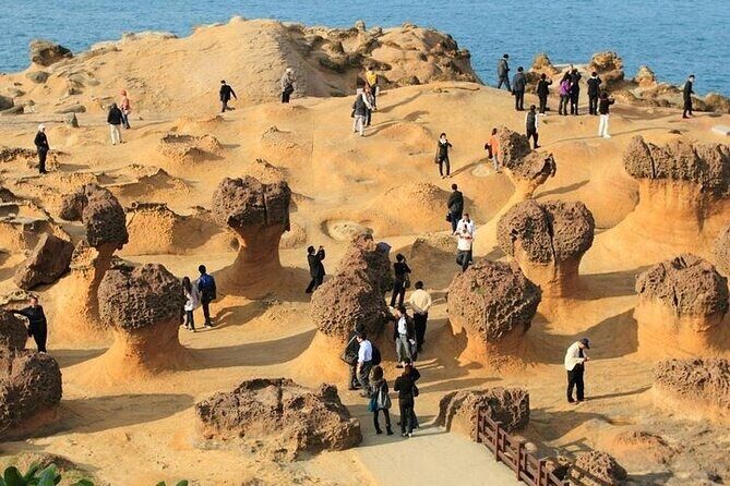 Taiwan TST: Private Tour Taipei Yehliu, Chaojing, Shifen, Jiufen - Yehliu Geopark: Geological Wonder and Photo Heaven