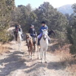 Tashkent: 3-Day Horseback Riding Tour in Chimgan Mountains - What Makes This Tour Stand Out
