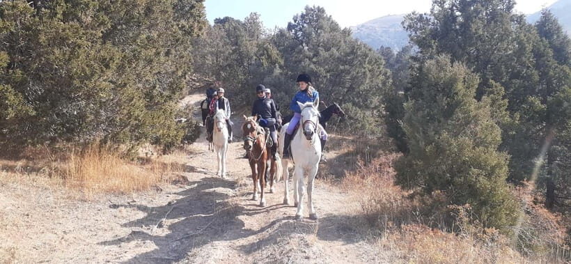 Tashkent: 3-Day Horseback Riding Tour in Chimgan Mountains - What Makes This Tour Stand Out