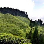 The Land Mark Tour (Nautical Day Darjeeling To Mirik crusade) - Why Travelers Love This Tour