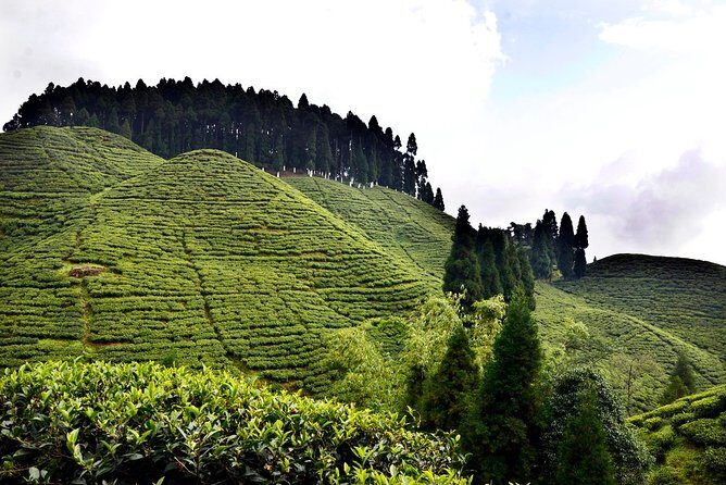The Land Mark Tour (Nautical Day Darjeeling To Mirik crusade) - Why Travelers Love This Tour