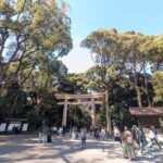 This is Real TOKYO!! SHIBUYA Tour from TGP!! - The Birth of Pop Culture on Takeshita Street