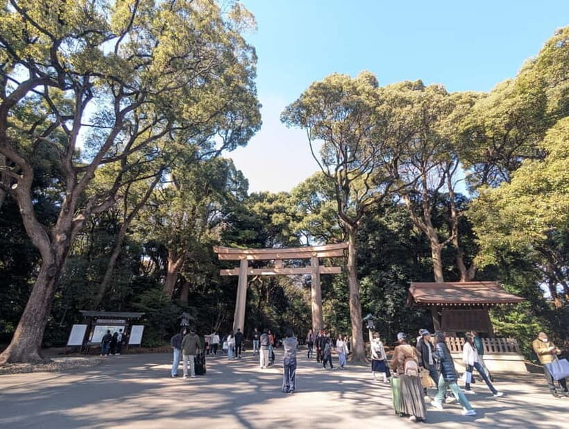 This is Real TOKYO!! SHIBUYA Tour from TGP!! - The Birth of Pop Culture on Takeshita Street