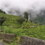 Tiger Hill Sunrise and Hiking Tour from Darjeeling - What’s Included and What to Keep in Mind