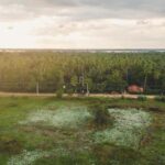 Tissamaharama: Sri Lankan Village Tour with Lunch - Who Should Consider This Tour?