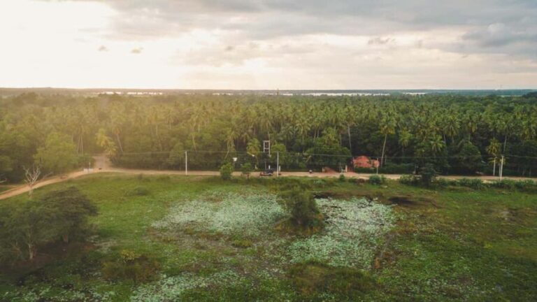 Tissamaharama: Sri Lankan Village Tour with Lunch - Who Should Consider This Tour?