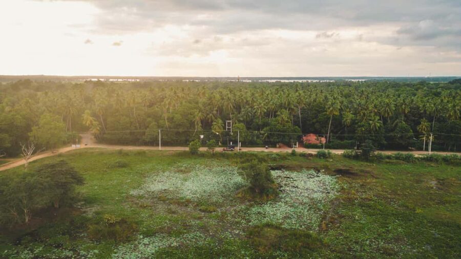 Tissamaharama: Sri Lankan Village Tour with Lunch - Who Should Consider This Tour?