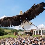 Tochigi: Nasu Animal Kingdom Entry Ticket - Who Will Love This Experience?