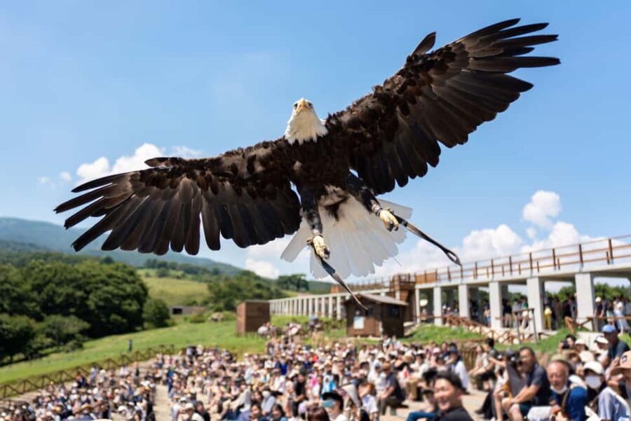 Tochigi: Nasu Animal Kingdom Entry Ticket - Who Will Love This Experience?