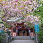 Tokyo: 1-hour Tokyo Tower Scenic Rickshaw Adventure - The Route and What You’ll See