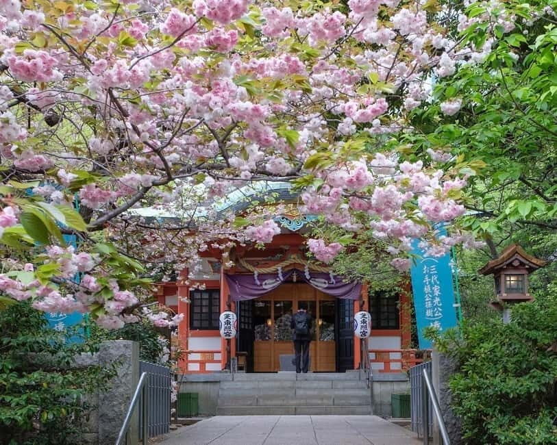 Tokyo: 1-hour Tokyo Tower Scenic Rickshaw Adventure - The Route and What You’ll See
