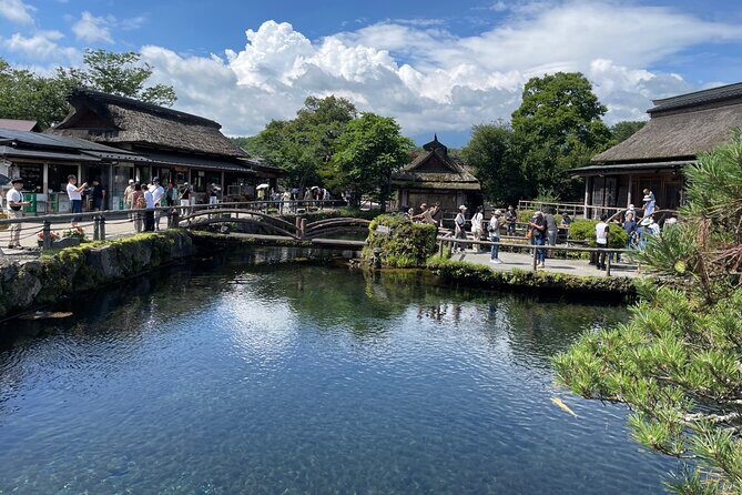 Tokyo: Customized Mt. Fuji & Hakone Sightseeing Private Day Trip - Transportation and Logistics