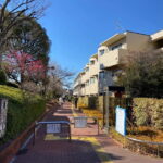 Tokyo: Explore the Authentic Life of a Residential Neighborhood - Why This Tour Stands Out