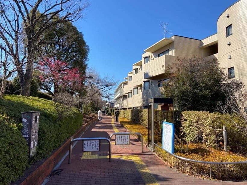 Tokyo: Explore the Authentic Life of a Residential Neighborhood - Why This Tour Stands Out