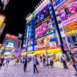 Tokyo: Fuji, Hakone, Kamakura Private Tour /w English Driver - Who Should Book This Tour?