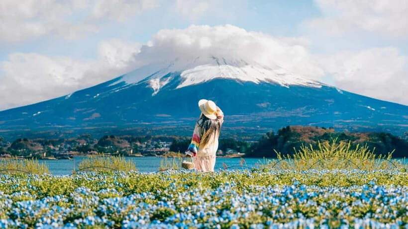 Tokyo: Full-Day Tour of the Six Majestic Spots of Mt Fuji - Itinerary Breakdown: What Youll See and Experience