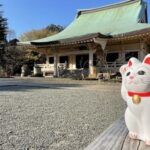 Tokyo: Gotokuji Temple and Shimokitazawa Day Tour - Shimokitazawa: Tokyo’s Bohemian and Vintage Haven