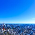 Tokyo: Guided Helicopter Ride with Mount Fuji Option - Value and Pricing