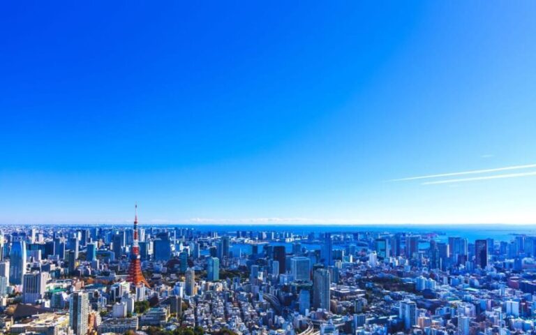 Tokyo: Guided Helicopter Ride with Mount Fuji Option - Value and Pricing