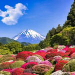 Tokyo : HAKONE x 3XPERIENCE's+OWAKUDANI+GOTEMBA (1 day tour) - Practical Details and Value