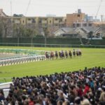 Tokyo: Horse Racing Tour with Local Fan - The Racecourse Atmosphere