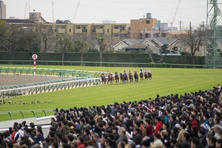 Tokyo: Horse Racing Tour with Local Fan - The Racecourse Atmosphere