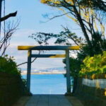 Tokyo: Ibaraki Day Trip with Hitachi Park & Fruit Picking - Practical Details and Tips