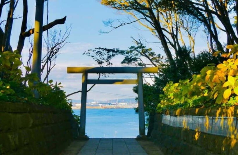 Tokyo: Ibaraki Day Trip with Hitachi Park & Fruit Picking - Practical Details and Tips