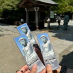 Tokyo: Kamakura & Enoshima Day Tour with Pickup & Train Ride - The Practicalities
