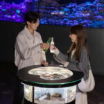 Tokyo: Maxell Aqua Park Shinagawa Direct Entry Ticket - Final Thoughts