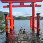 Tokyo: Mount Fuji and Hakone private sightseeing tour - Who Is This Tour Best For?