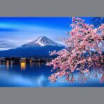 Tokyo: Mt. Fuji & Hakone Cherry Blossoms Private Day Tour - What the Reviews Reveal