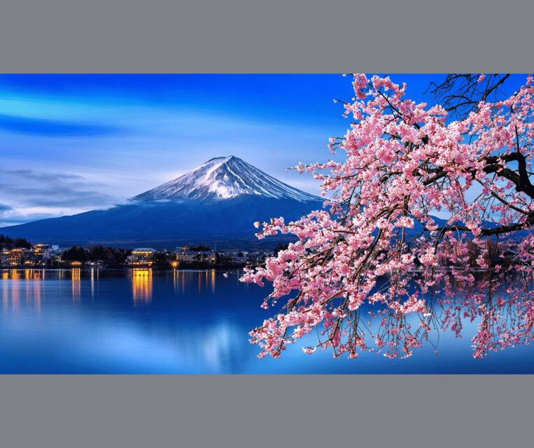 Tokyo: Mt. Fuji & Hakone Cherry Blossoms Private Day Tour - What the Reviews Reveal