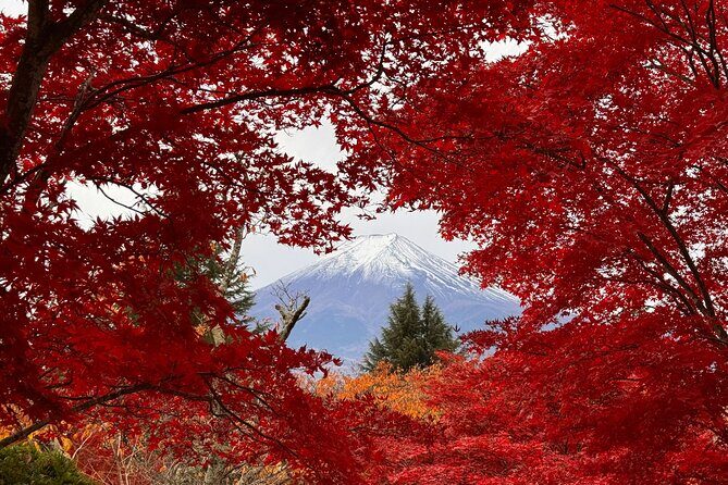 Tokyo: Mt.Fuji & Lake Kawaguchiko 1-Day Bus Tour w/Optional Lunch - The Balance of Value and Experience