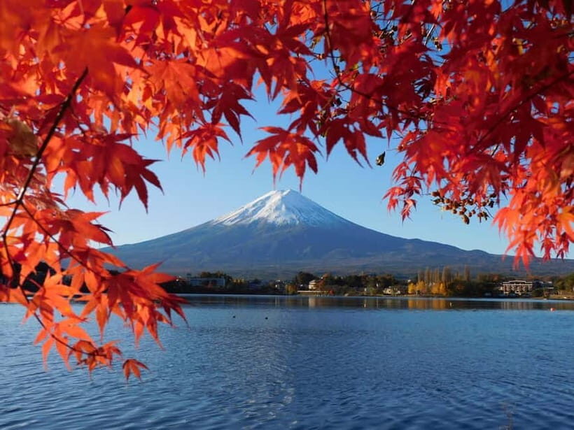 Tokyo: Mt. Fuji, LakeKawaguchiko, Pagoda, & Oishi Park Tour - A Closer Look at the Itinerary and Highlights