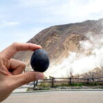 Tokyo: Mt. Fuji, Owakudani, Hakone Shrine, & Open-Air Museum - The Highlights in Detail