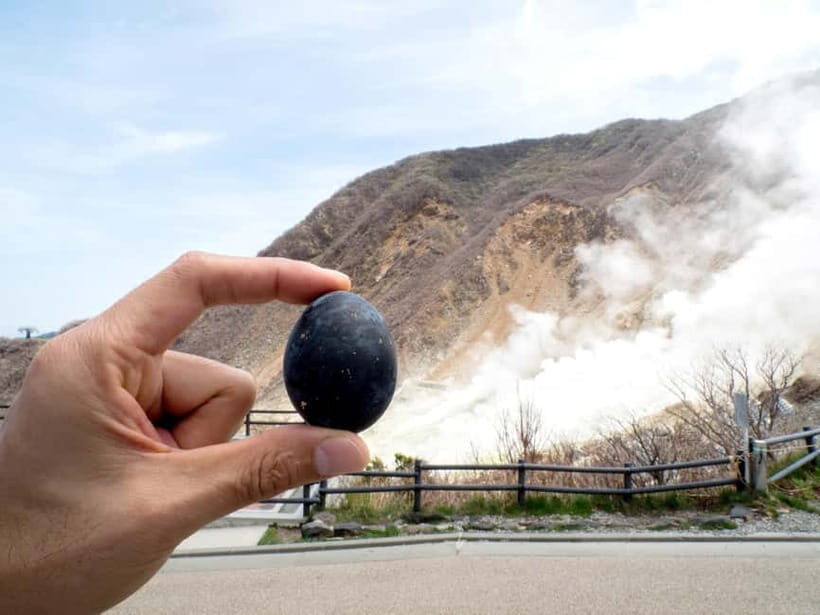 Tokyo: Mt. Fuji, Owakudani, Hakone Shrine, & Open-Air Museum - The Highlights in Detail