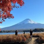 Tokyo: Mt.Fuji Private day Trip with English Speaking Driver - The Little Things That Make a Difference