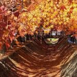 Tokyo: Mt. Fuji&HakoneDayTrip LakeKawaguchi,Kimono&Owakudani - Transportation and Timing: Why It Matters