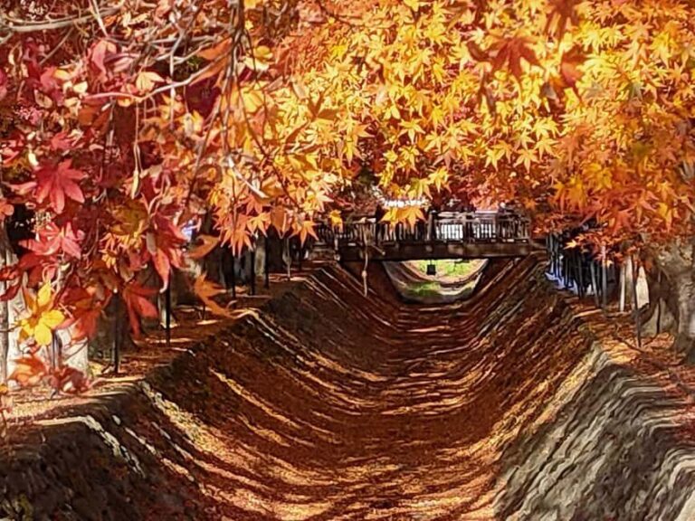 Tokyo: Mt. Fuji&HakoneDayTrip LakeKawaguchi,Kimono&Owakudani - Transportation and Timing: Why It Matters