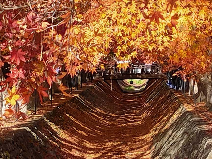 Tokyo: Mt. Fuji&HakoneDayTrip LakeKawaguchi,Kimono&Owakudani - Transportation and Timing: Why It Matters