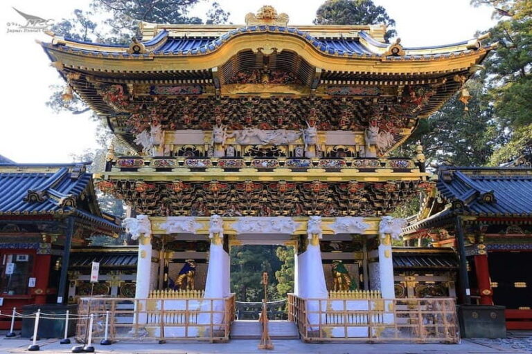 Tokyo: Nikko Day Trip with Toshogu Shrine & Kegon Falls - Authentic Experiences and Genuine Impressions