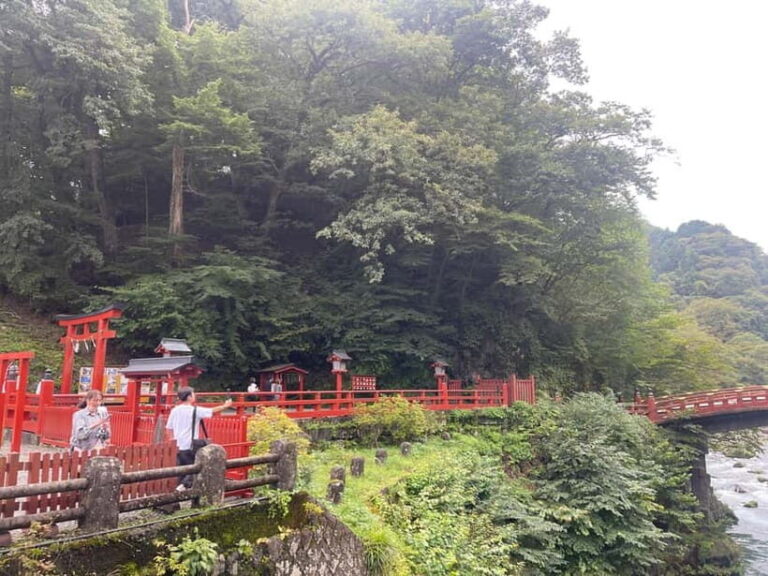 Tokyo: Nikko Private Customize Tour English Driver & Guide - What to Expect from the Experience