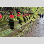 Tokyo: Nikko World Heritage Private Day Trip Hotel Pick-up - The Value of a Private, Customizable Tour