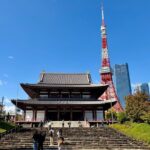 Tokyo Private 1-Day Tour by Car with English-Speaking Driver - Price and Value