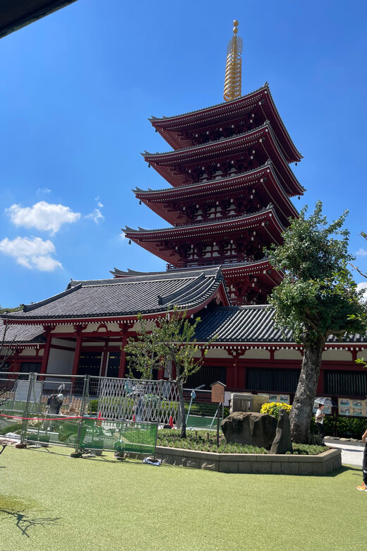 Tokyo: Private City Highlights Tour - What Makes This Tour Stand Out?