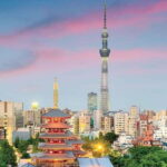 Tokyo: Private Customizable 4-Hour Night Tour - The Practicalities: What’s Included and What’s Not