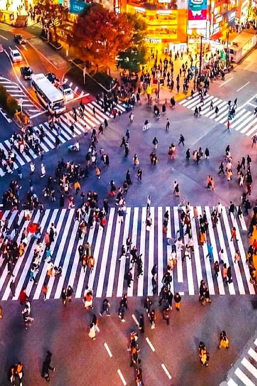 Tokyo Private Customizable Tour with a Local Guide - A Deep Dive Into the Itinerary