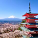 Tokyo: Private Mt.Fuji Day Trip with English-Speaking Driver - Pricing & Value