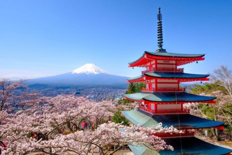 Tokyo: Private Mt.Fuji Day Trip with English-Speaking Driver - Pricing & Value
